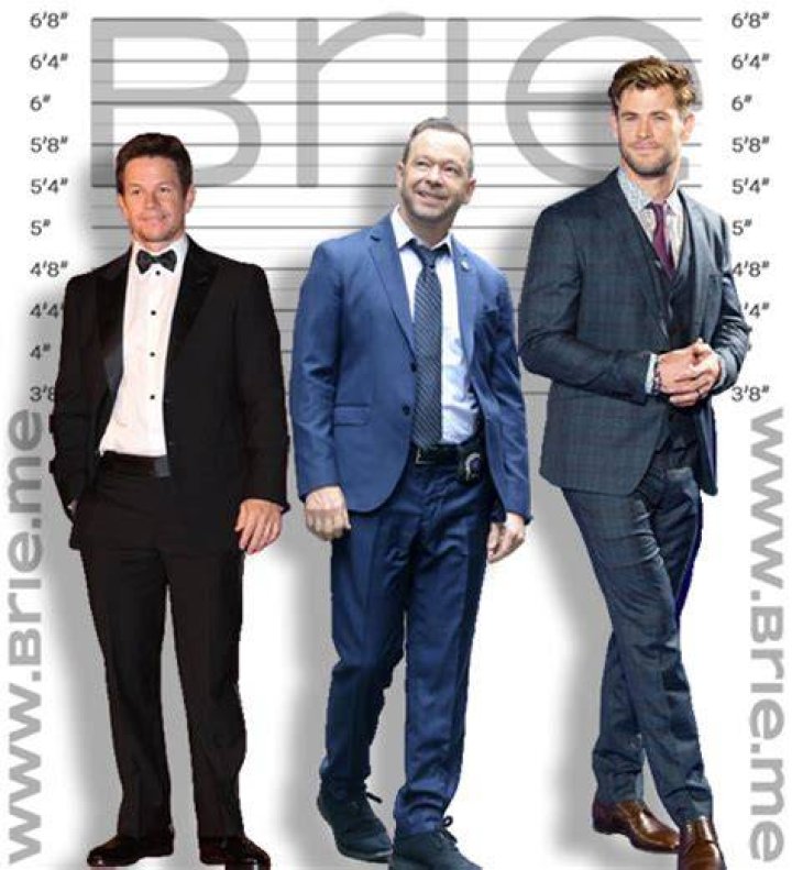 Donnie Wahlberg Height: Exploring the Height of the Multifaceted Actor and Musician