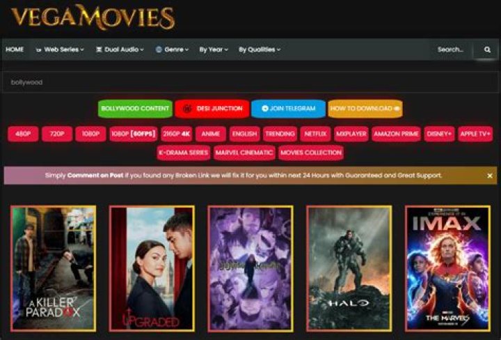 Exploring the Vegamovies Archive YT: A Comprehensive Guide to Movies and More