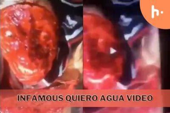Understanding "Videos Gore Quieres Agua": A Deep Dive into the Genre and Its Impact on Viewers